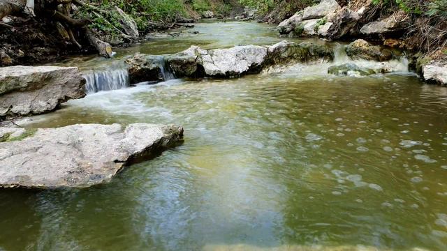 Scenic rest by a stream in the forest 4K. Живописный отдых у ручья в лесу 4К смотреть онлайн