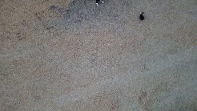 Drone Series: Bark STL #3 смотреть онлайн