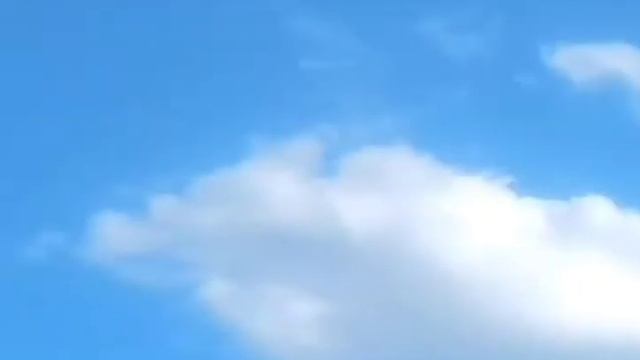 За Щукой на Ишим. Родина. смотреть онлайн