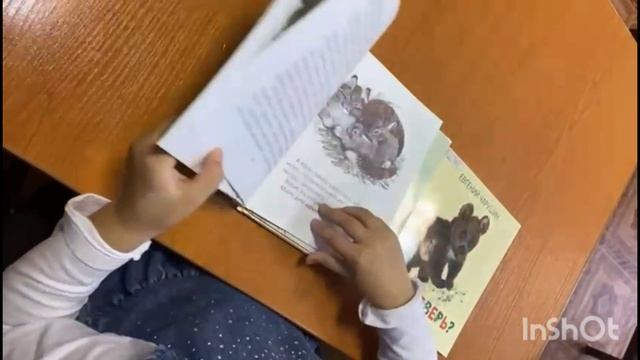 Онлайн встреча Мир Евгения Чарушина мир детства и природы смотреть онлайн