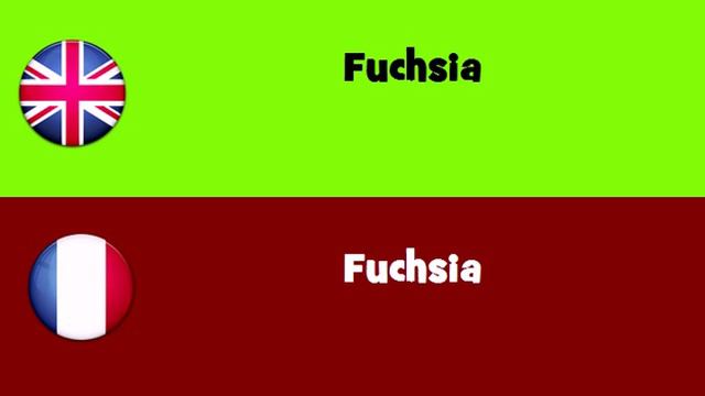 FROM ENGLISH TO FRENCH = Fuchsia смотреть онлайн