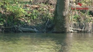 Ничего не бойся! Благодари Бога за скорби и скорби минуют!.