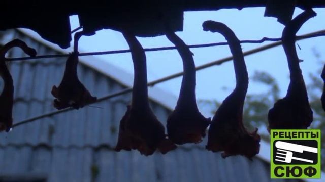 ВИДЕО РЕЦЕПТ ТАЕЖНЫЙ ЖУЛЬЕН ИЗ ДИКИХ ГРИБОВ СЮФ КРАСНОДАРСКИЙ смотреть онлайн