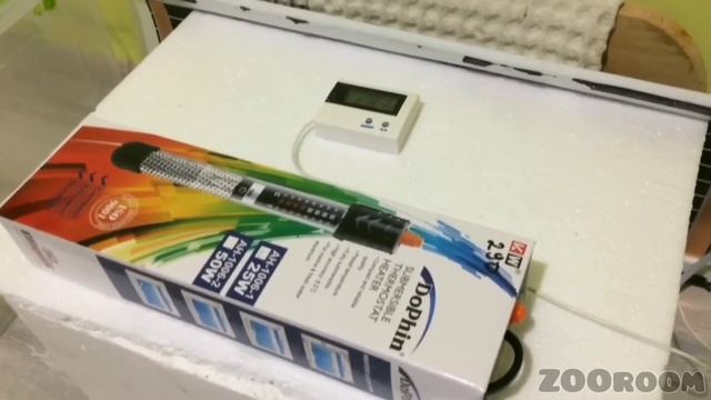Разведение маисовых полозов. Часть 3: Кладка яиц / Инкубатор для рептилий смотреть онлайн