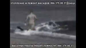 Нападение касатки на человека