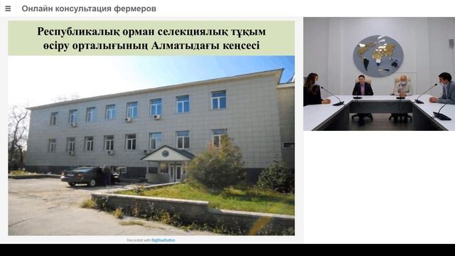 Выращивание плантации из тополей для получения древесного сырья смотреть онлайн