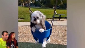 САМЫЕ СМЕШНЫЕ ЖИВОТНЫЕ! ПОПРОБУЙ НЕ СМЕЯТЬСЯ в ЛАЙК и ТИКТОК! ХАХА ЧЕЛЛЕНДЖ Funny Animals Валеришка