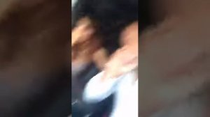 Елена Беркова