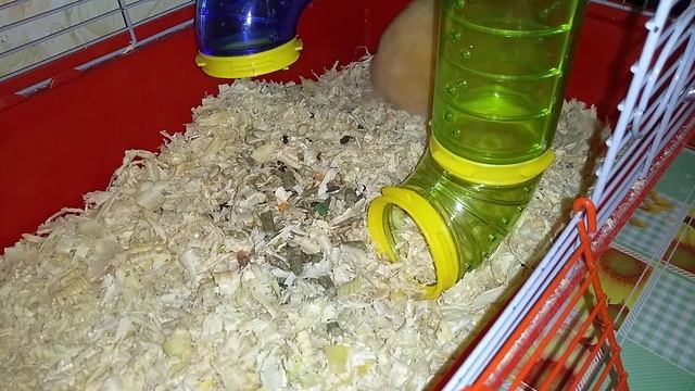 Сделай Свой Мир