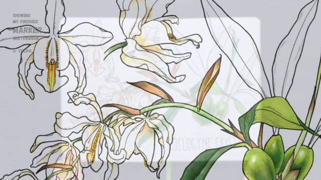 Showing my sketchbook #2 / Показываю свой скетчбук №2 смотреть онлайн