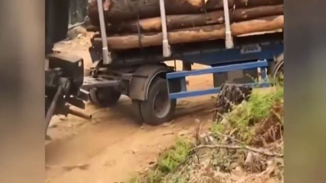 Посмотрел и понял, почему древесина стоит так дорого смотреть онлайн