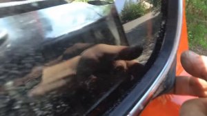 Установка лобовых стёкол на КамАЗ