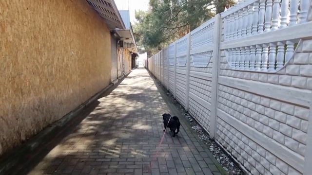 Архипо Осиповка 09.03.2023 смотреть онлайн