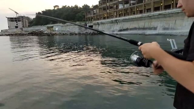 ГУРЗУФ. Ставридная РАЗДАЧА в ИЮНЕ! Ночной УЛЬТРАЛАЙТ! Влетела крупная СКОРПЕНА!!!! смотреть онлайн