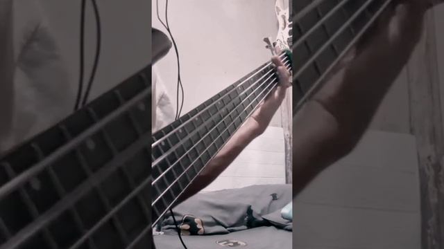 full bass cover: https://youtu.be/or1Lw52EUjI?feature=shared #avengedsevenfoldcover #basscover смотреть онлайн