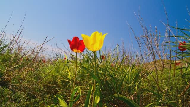 Каюсь смотреть онлайн
