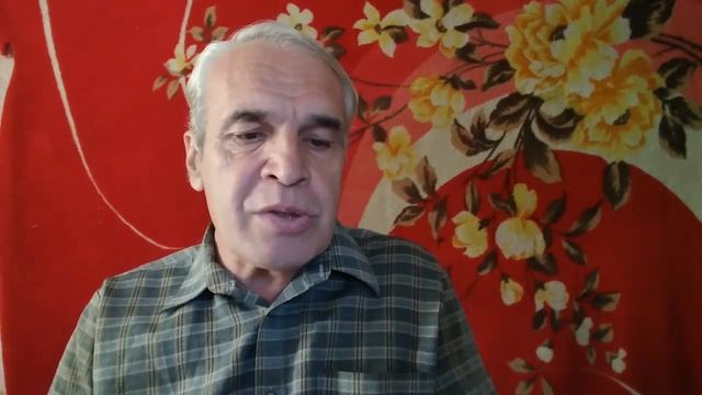 Рыженький пёс. смотреть онлайн