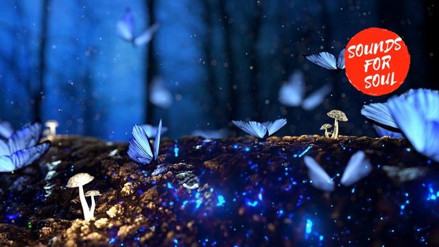 Звуки ночи ~ Сверчки смотреть онлайн