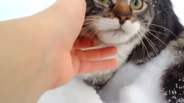 Тошик на улице первый раз смотреть онлайн