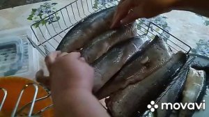 Селедка на мангале!!!! Такого Вы еще не пробовали!!!!