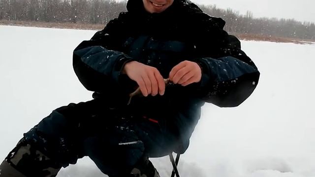 Окунь на балансир.Васильевские Острова.(Самарская обл.) смотреть онлайн