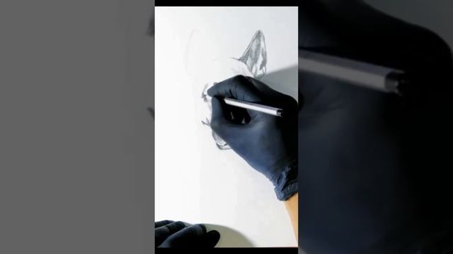Как нарисовать собаку карандашом ,овчарку.#shorts #рисунок смотреть онлайн