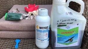 РОЗЫ. ОБРАБОТКА РОЗ ОТ БОЛЕЗНИ. РОЗЫ В САДУ. ФАЛЬКОН ОБРАБОТКА РОЗ ОТ БОЛЕЗНИ.