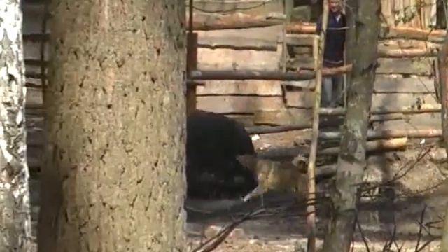 buran смотреть онлайн