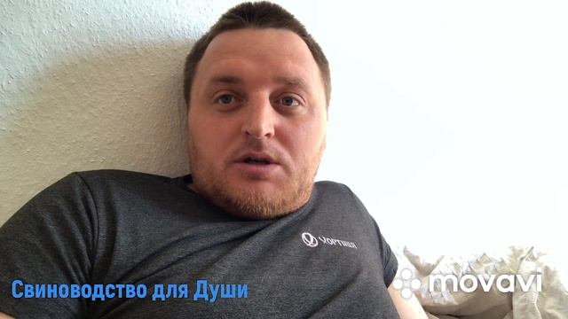 Поросята с домашнего хозяйства!Поросята покупные! смотреть онлайн