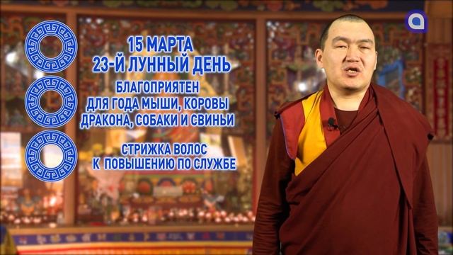Змеи и лошади, не стоит покупать животных сегодня смотреть онлайн