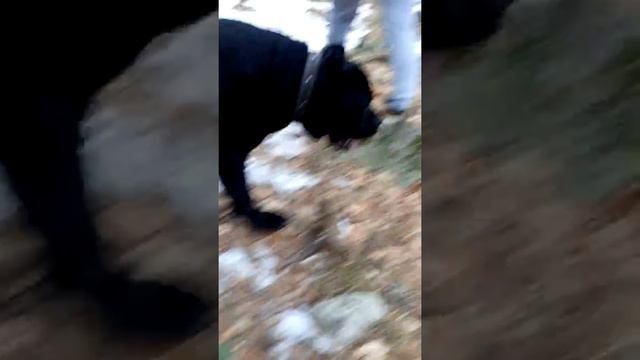 Цей 18.03.17 (База отдыха"Вертикаль") ушли к водопаду 1 смотреть онлайн