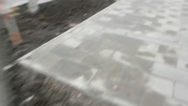 На Садовой сделали неправильный газон - источник грязи