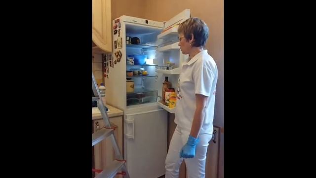 Как правильно вымыть холодильник самостоятельно. Единая Клининговая Служба смотреть онлайн