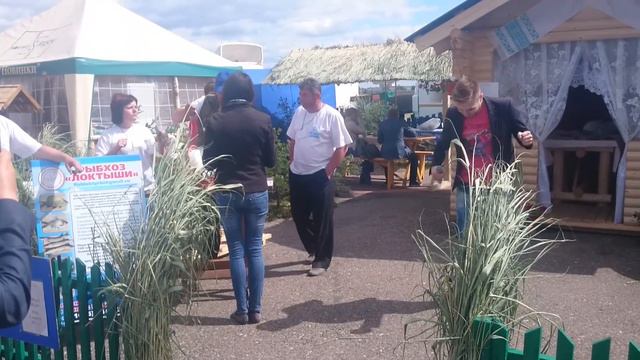 Агро 2016 Рыбхоз Локтыши смотреть онлайн