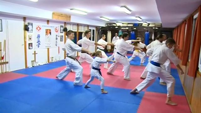 Kyokushin Karate – 34 év alatt közel 400 érmes helyezés смотреть онлайн