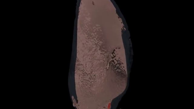 Mussel opening in Trinil, Java, Indonesia смотреть онлайн