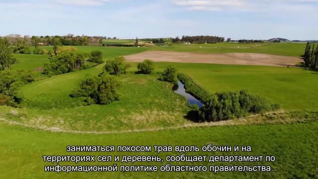 На борьбу с борщевиком выделят 30 млн рублей смотреть онлайн