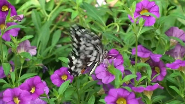 Татьяна Наумова (Гизатулина) смотреть онлайн