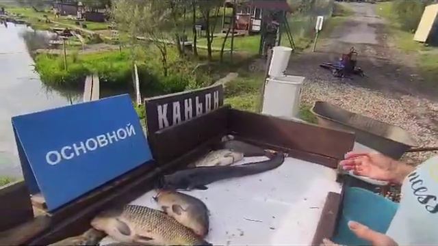 25.07. Каньон смотреть онлайн