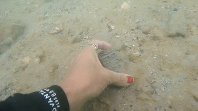 Baby Columbian Mammoth Tooth смотреть онлайн