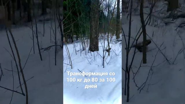 Трансформация тела со 100 кг до 80 кг за 100 дней(завтра начинаем марафон) смотреть онлайн