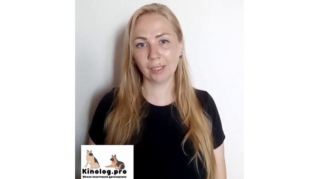 Почему собака на поводке лает на других собак, а без поводка - дружит с ними.