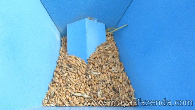 Измельчение зерна и початков кукурузы. Измельчитель с двигателем 2,5 кВт. смотреть онлайн