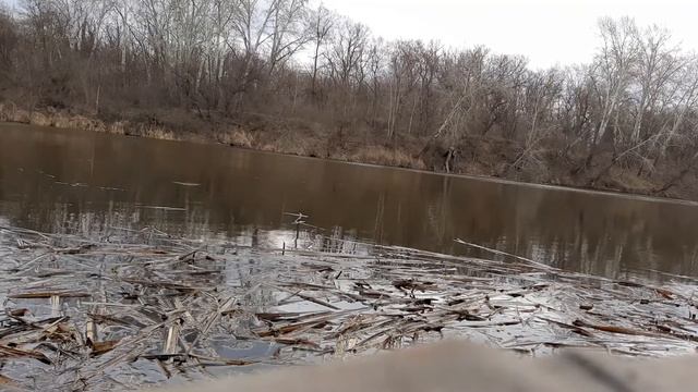 Ни хвоста, ни чешуи. смотреть онлайн