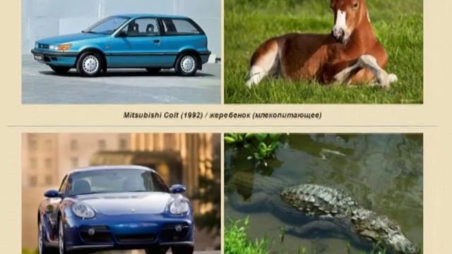 Автомобили, названные в честь животных смотреть онлайн