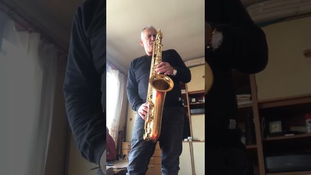 I am not the only one, tenor saxophone cover by Milivoj Stojanović, Primošten смотреть онлайн