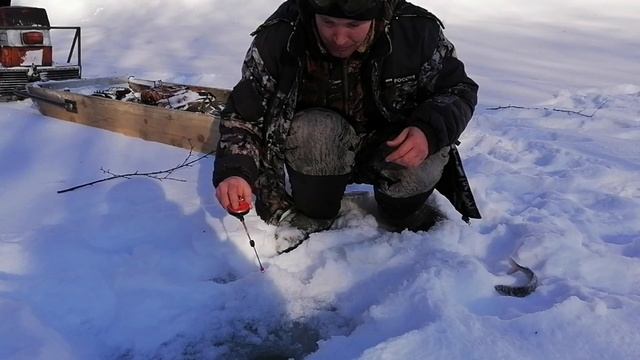 хариуса весной # северные реки КОМИ#три дня в тайге# 1часть смотреть онлайн