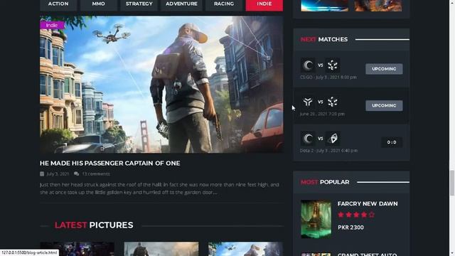 The Gamer's Republic HTML CSS website with JS libraries смотреть онлайн