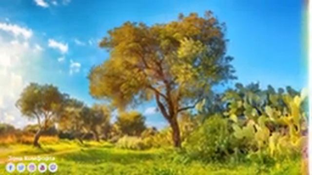 Эту музыку можно слушать вечно! Музыка расслабляет нервную систему, улучшает память ? Сергей Грищук смотреть онлайн