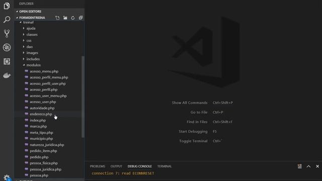 Curso FormDin parte 08 - Anexo 02 Configurando o VS Code com X-Debug смотреть онлайн